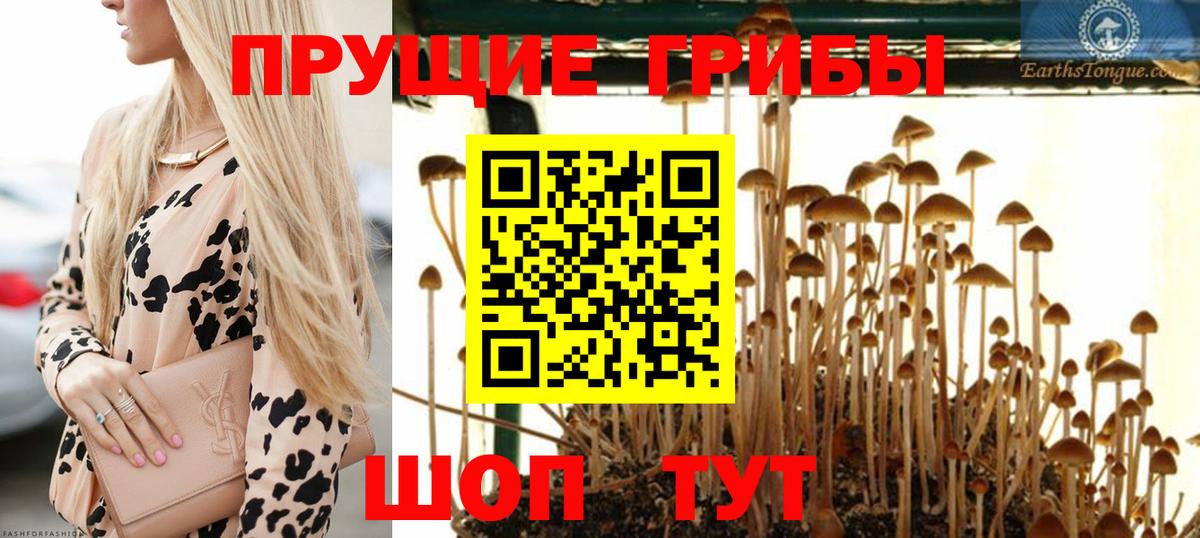 Псилоцибиновые грибы мухоморы Барабинск