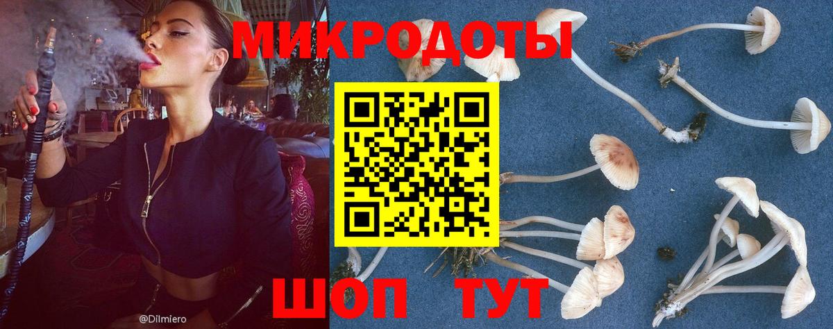 даркнет сайт  Вход с VPN  Барабинск  Псилоцибиновые грибы мицелий 